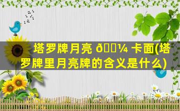 塔罗牌月亮 🐼 卡面(塔罗牌里月亮牌的含义是什么)